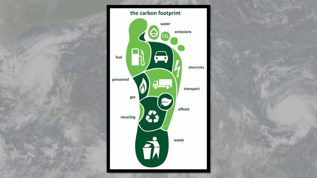 Water Climate and Ecosystem